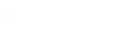 Windows 11 Pro for Workstations